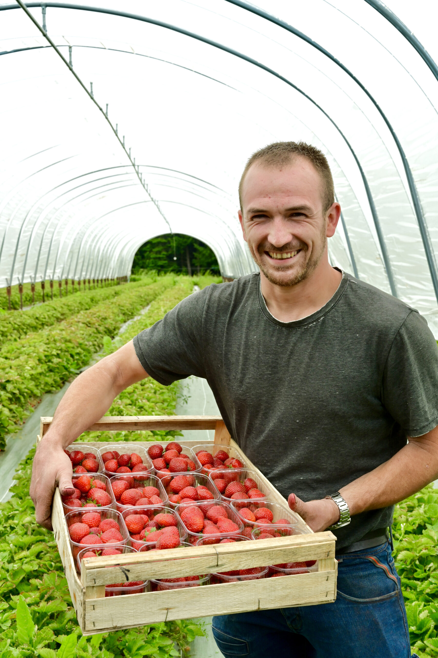 Producteur souriant avec une cagette de fraises