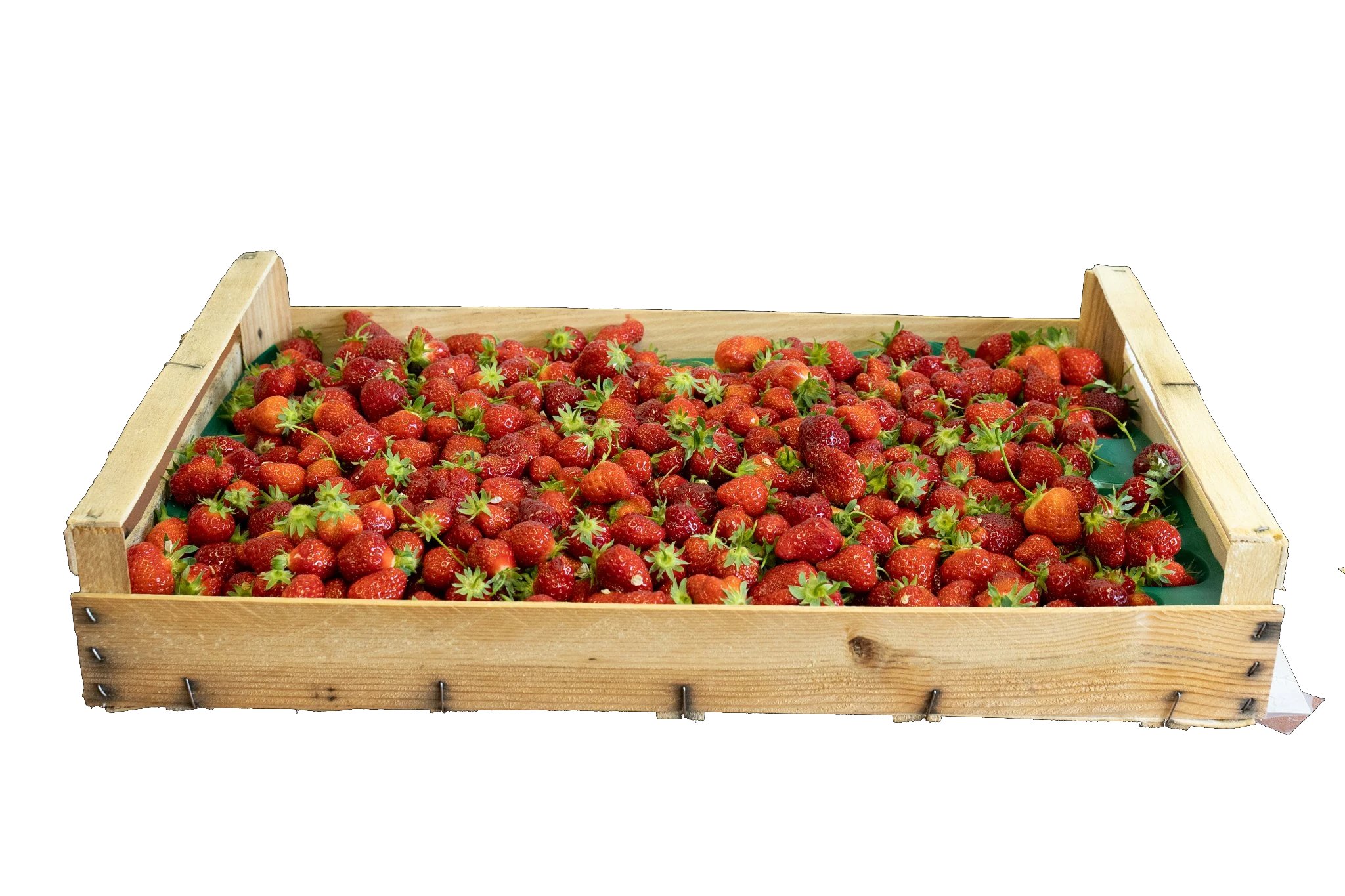 Cagette en bois remplie de fraises fraiches, fond transparent